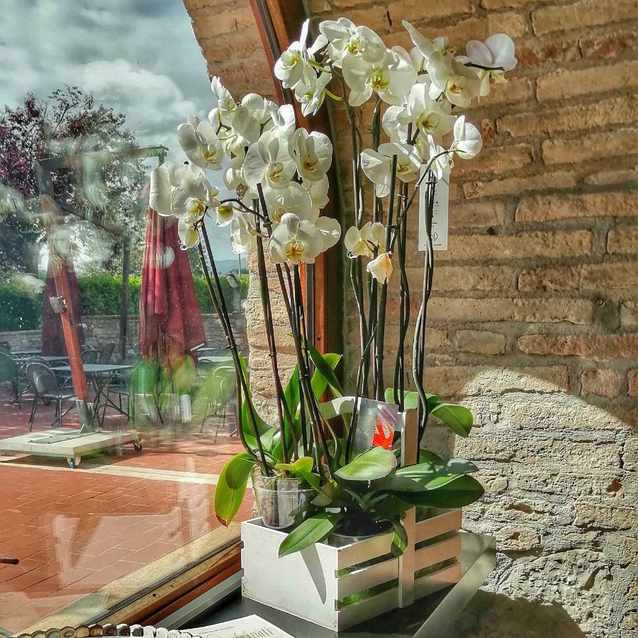 Locanda Giustini Асизи Екстериор снимка